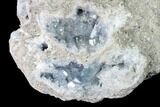 Sky Blue Celestine (Celestite) Geode - Madagascar #152310-6